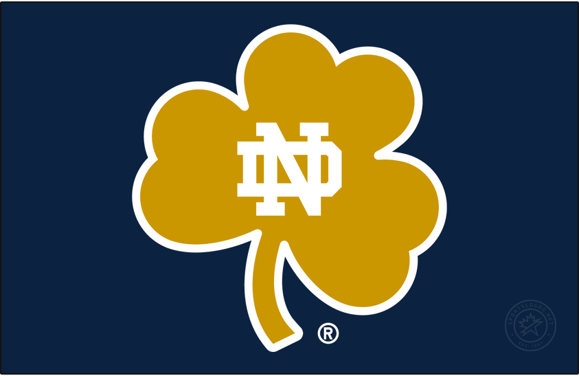 Notre Dame Fighting Irish 2015-Pres Secondary Logo DIY iron on transfer (heat transfer)